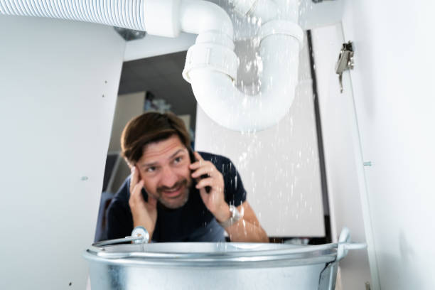 Best Plumbing Services Near Me  in Savoy, IL